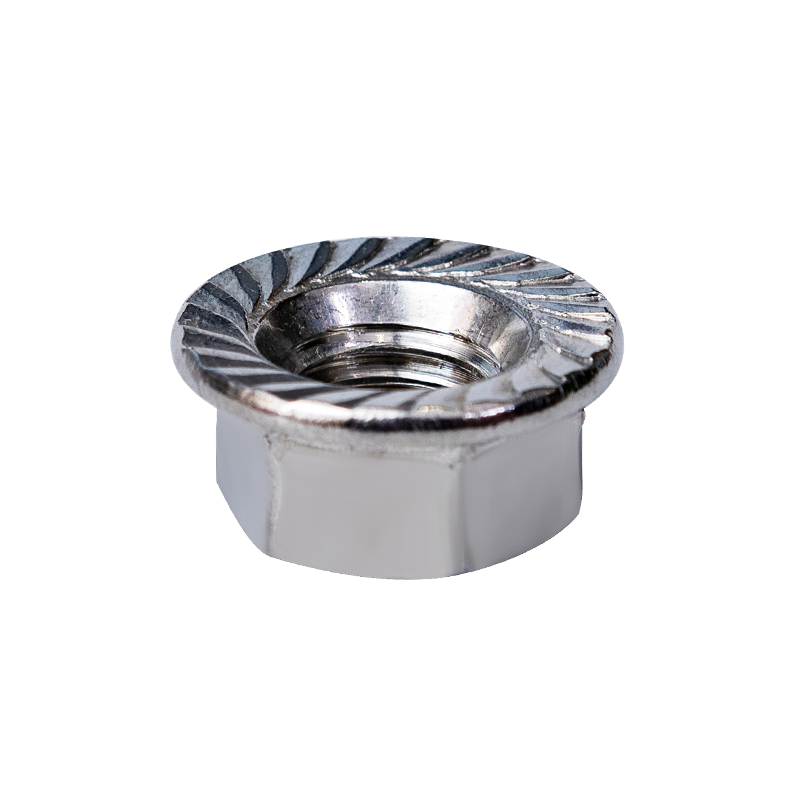 Porcas de flange hexagonal SS304 DIN6923 M10
